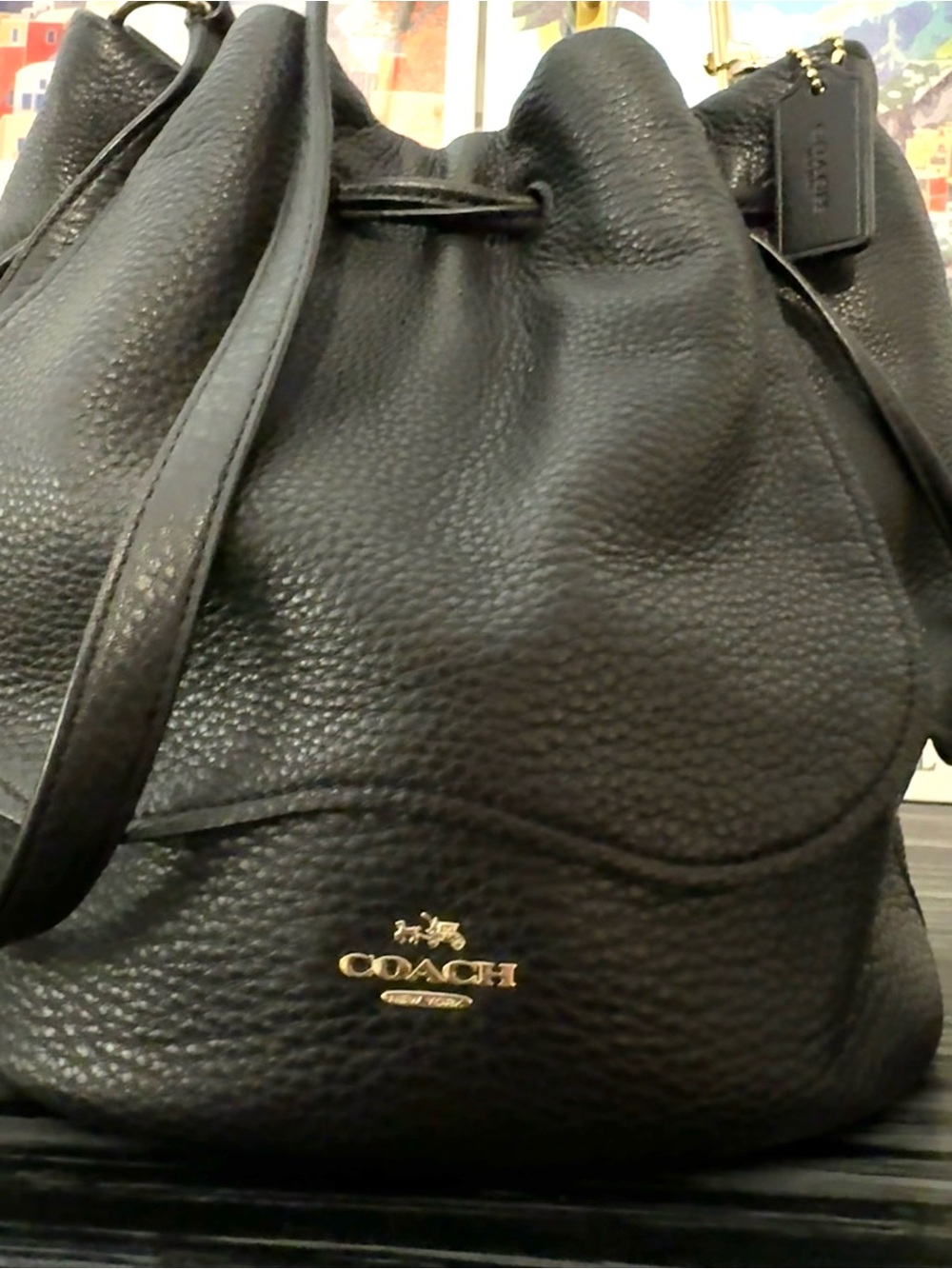 COACH Petal Tea Rose 22 Bucket Bag Black Pebble Leather - Like New 2017 (F11807) - Picture 12 of 15